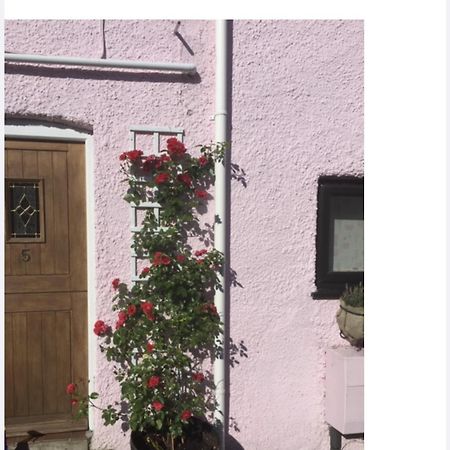 Red Rose Cottage Чеддар Екстер'єр фото