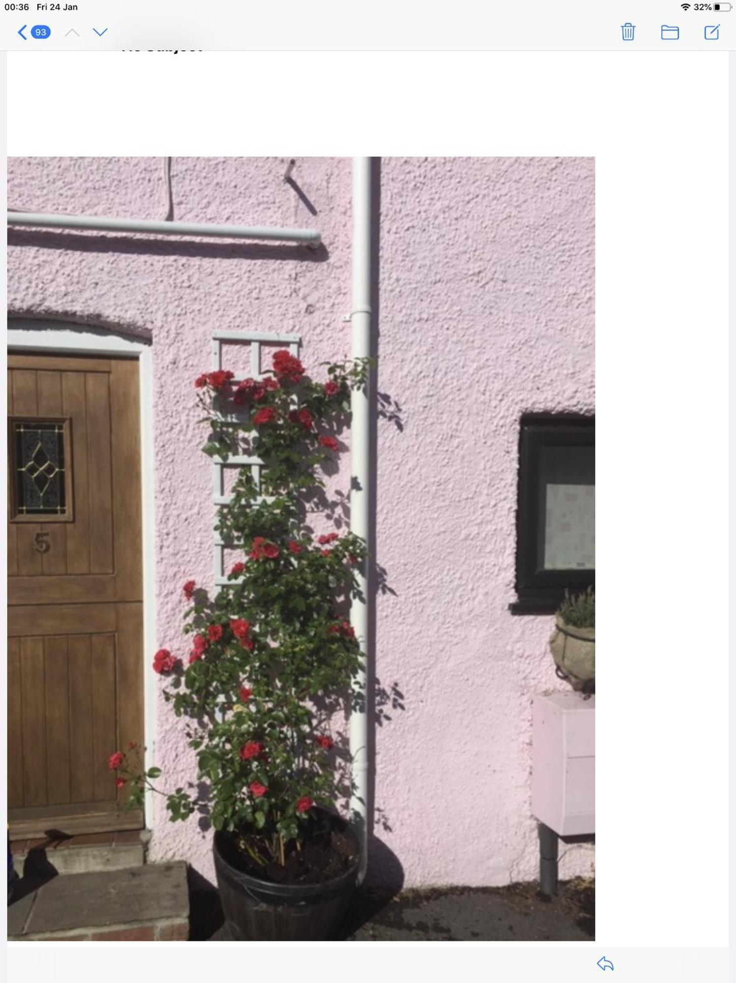 Red Rose Cottage Чеддар Екстер'єр фото